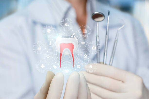 Professional Holistic Dental Care Services in Hamilton City, CA